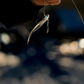 Dogfish Tackle & Marine 6th Sense Strobe Minnow soft plastic bait with realistic 3D eyes and attached spinner blade