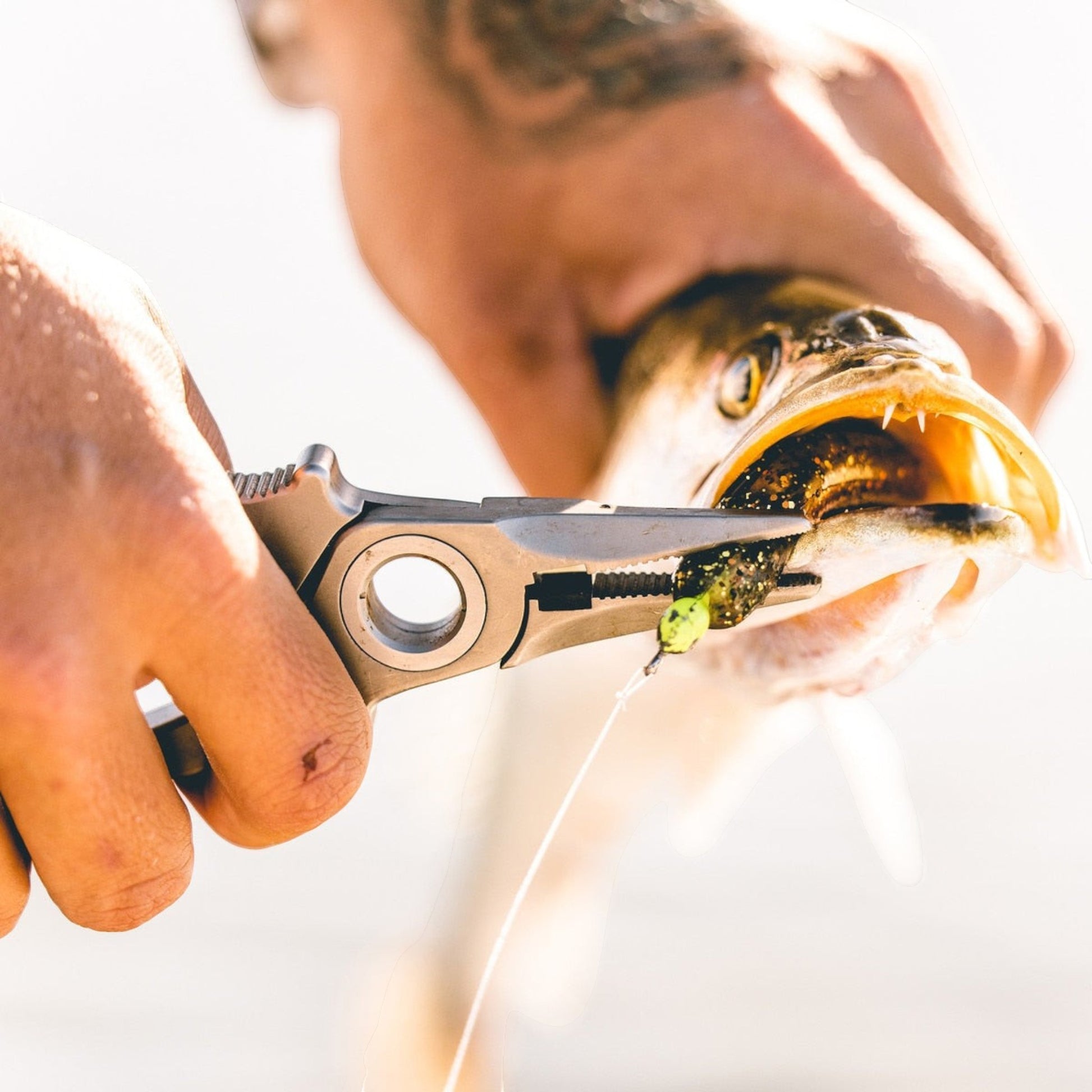 Dogfish Tackle & Marine Danco Premio titanium fishing pliers removing a hook from a fish mouth in a sunny setting