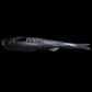 NLBN 5in Lil Mullets - Dogfish Tackle & Marine