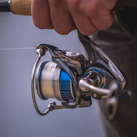 Daiwa Legalis LT Spinning Reels