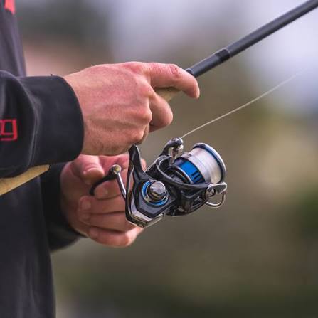 Daiwa Legalis LT Spinning Reels