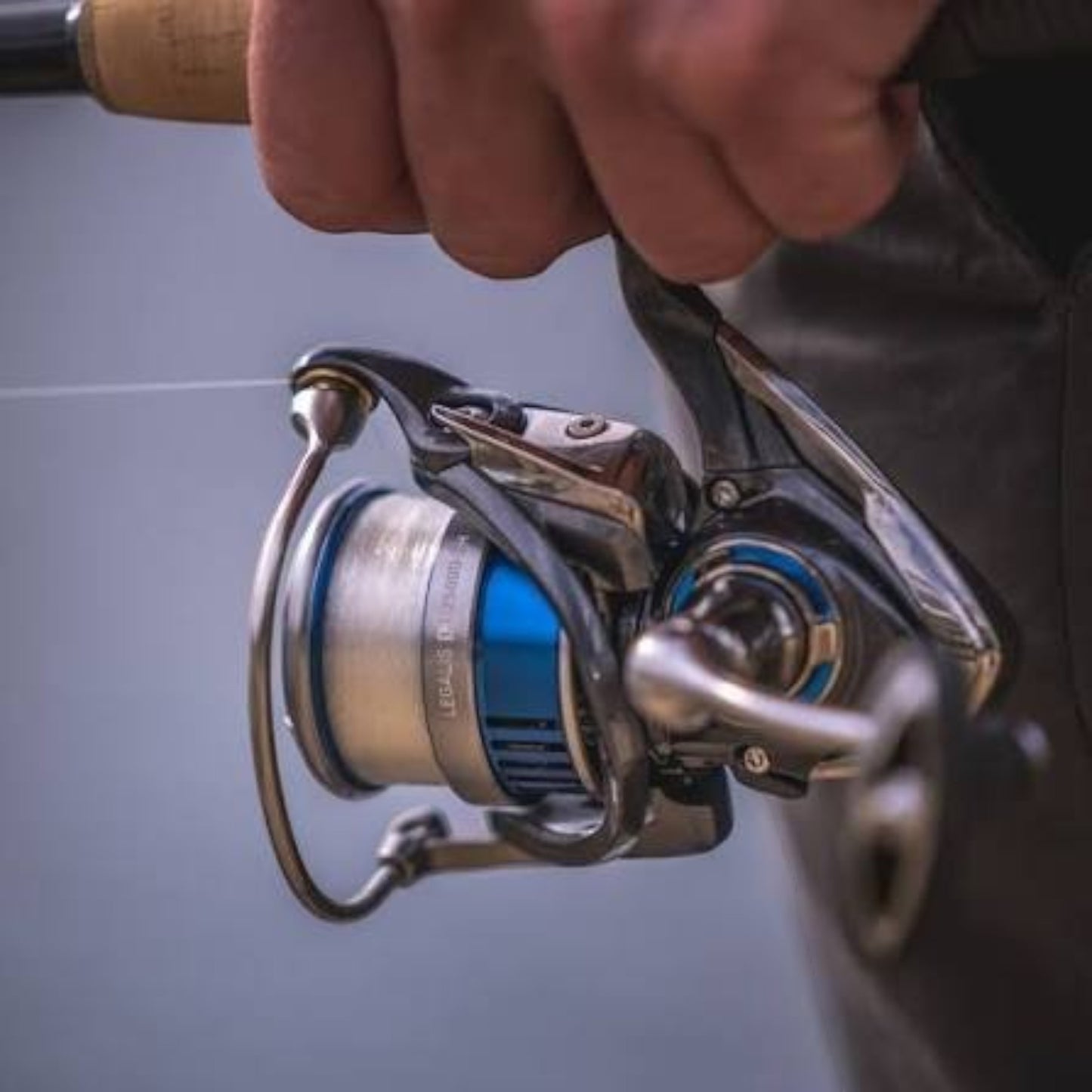 Daiwa Legalis LT - Dogfish Tackle & Marine