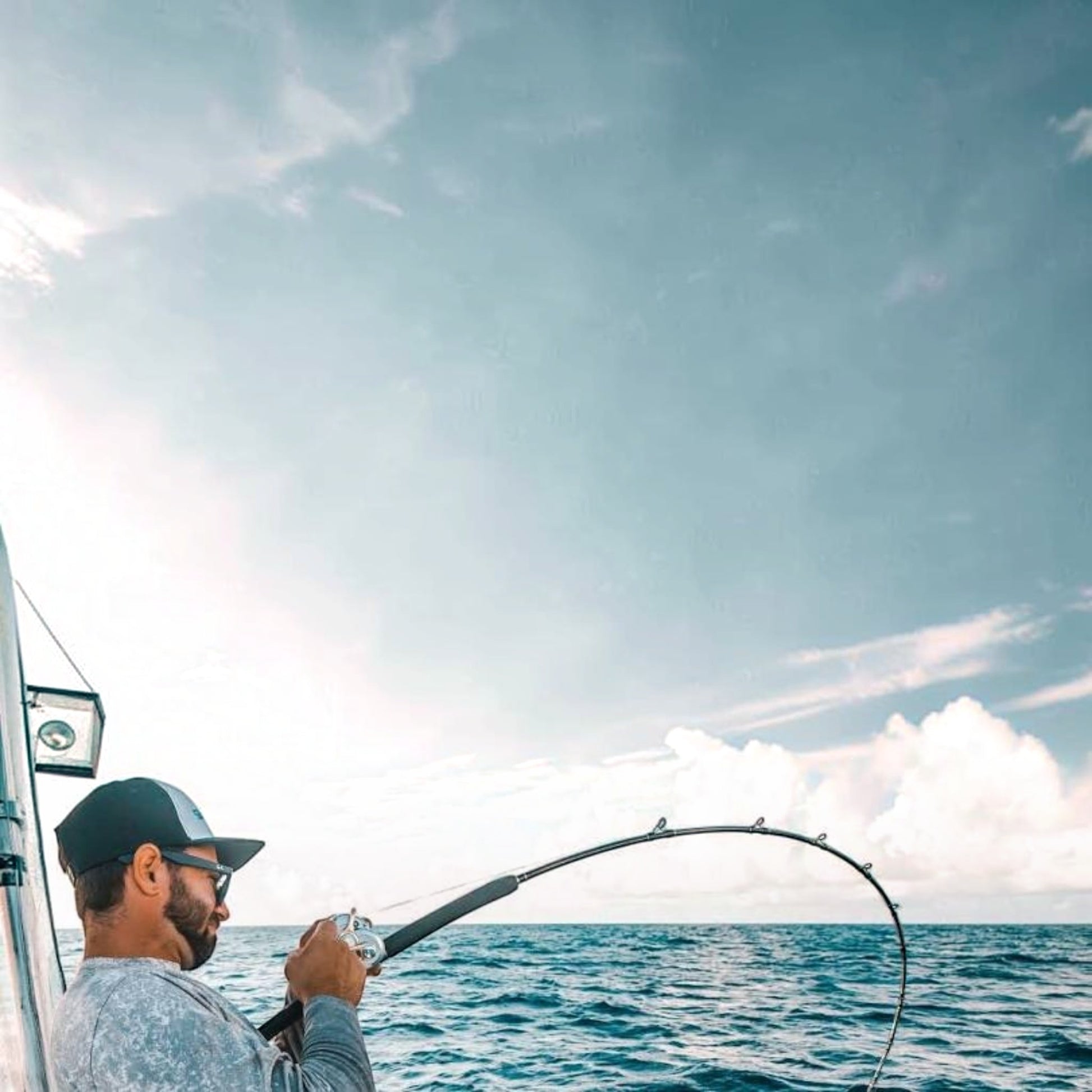 Shimano Terez Conventional Rods - Dogfish Tackle & Marine
