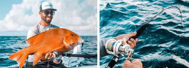 Shimano Terez Offshore Spinning Rods