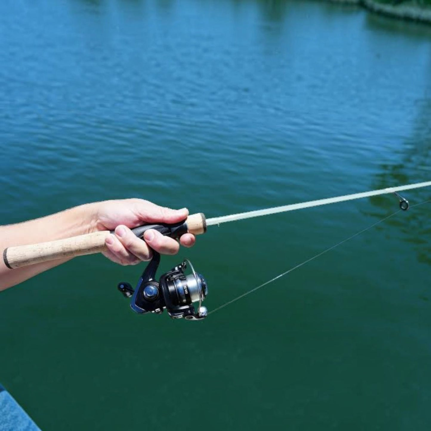 Daiwa Beam X Glass Ultralight Rods - Dogfish Tackle & Marine