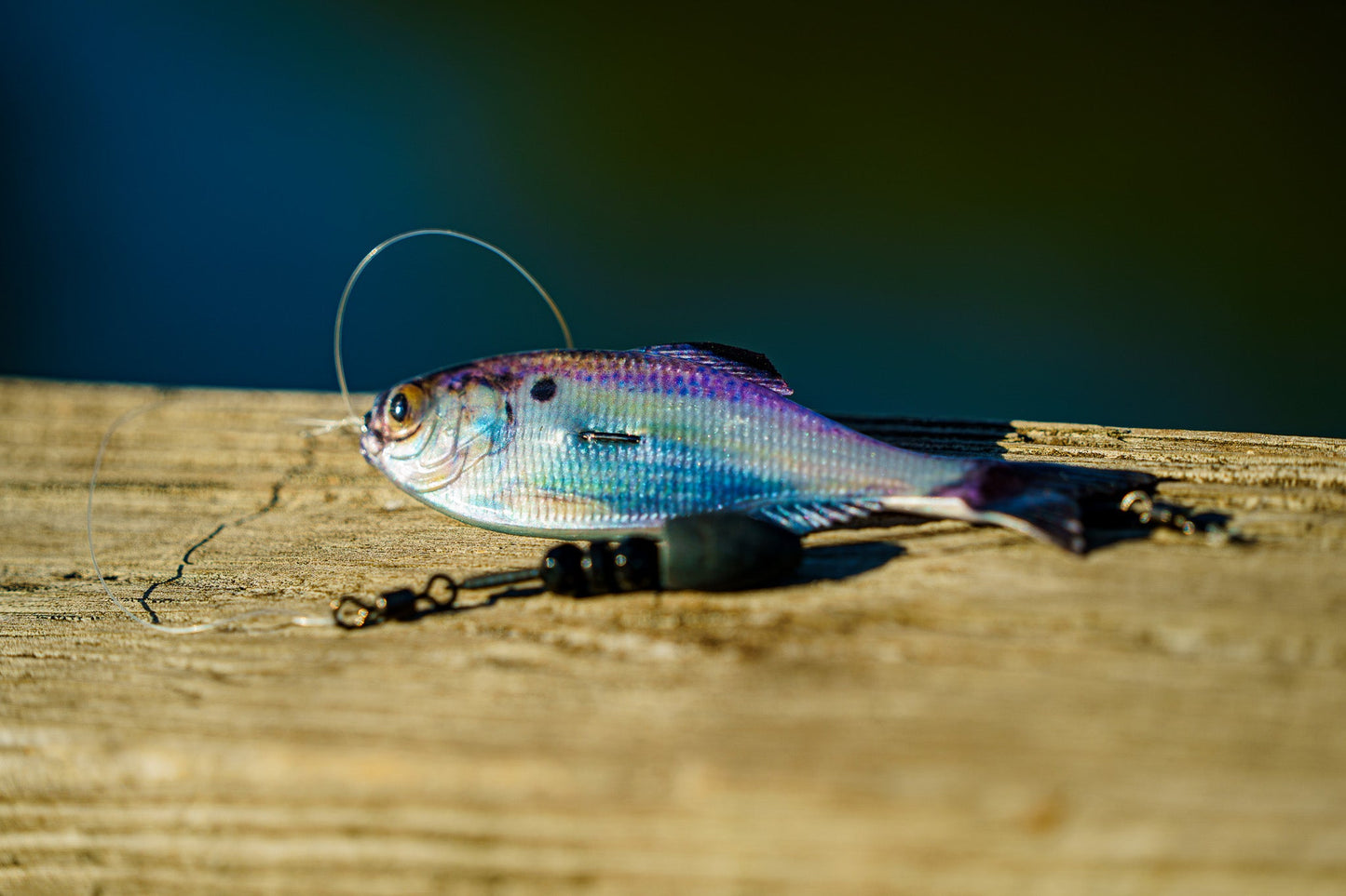 6th Sense Panorama Swimbait Unrigged Series - Dogfish Tackle & Marine