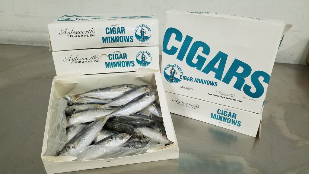 Cigar Minnow 5lb - Dogfish Tackle & Marine