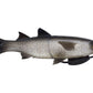 Savage Pulse Tail Mullet LB - Dogfish Tackle & Marine
