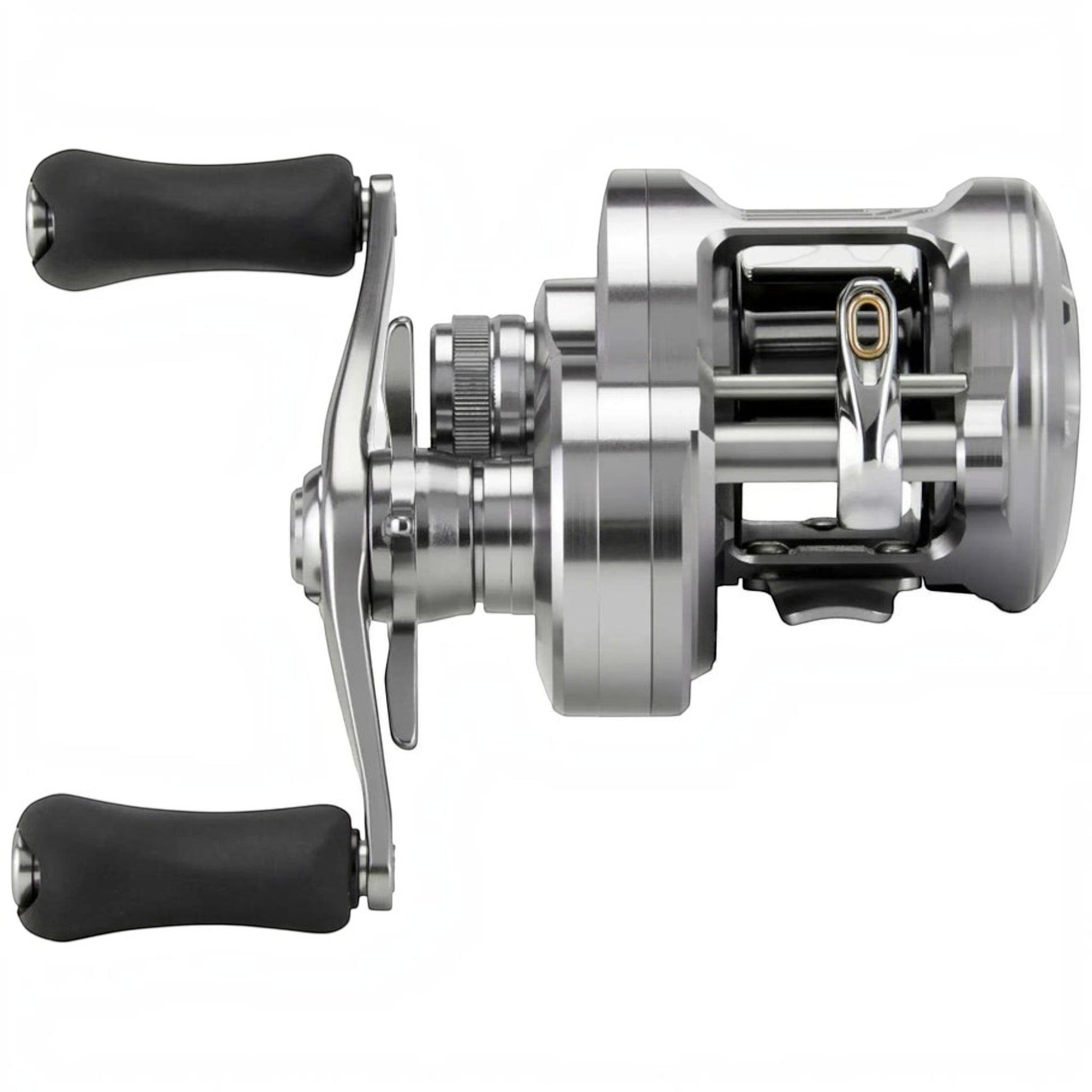 Shimano Calcutta Conquest DC 200 Casting Reels - Dogfish Tackle & Marine