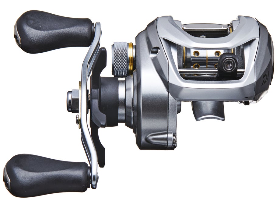 Daiwa Aird 80 Casting Reel - Dogfish Tackle & Marine