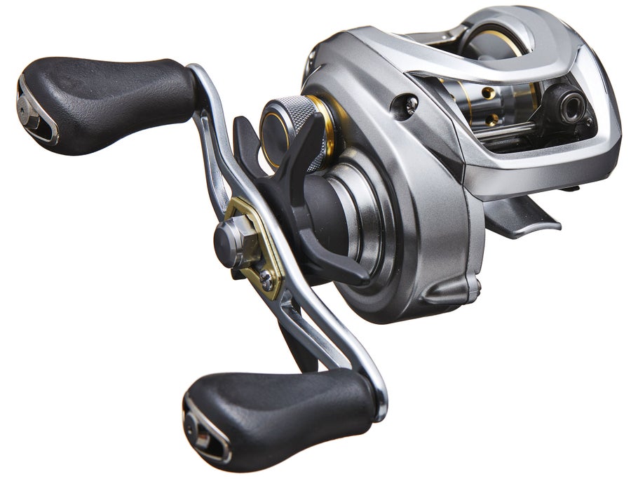 Daiwa Aird 80 Casting Reel - Dogfish Tackle & Marine