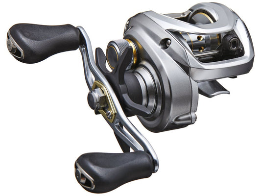 Daiwa Aird 80 Casting Reel - Dogfish Tackle & Marine