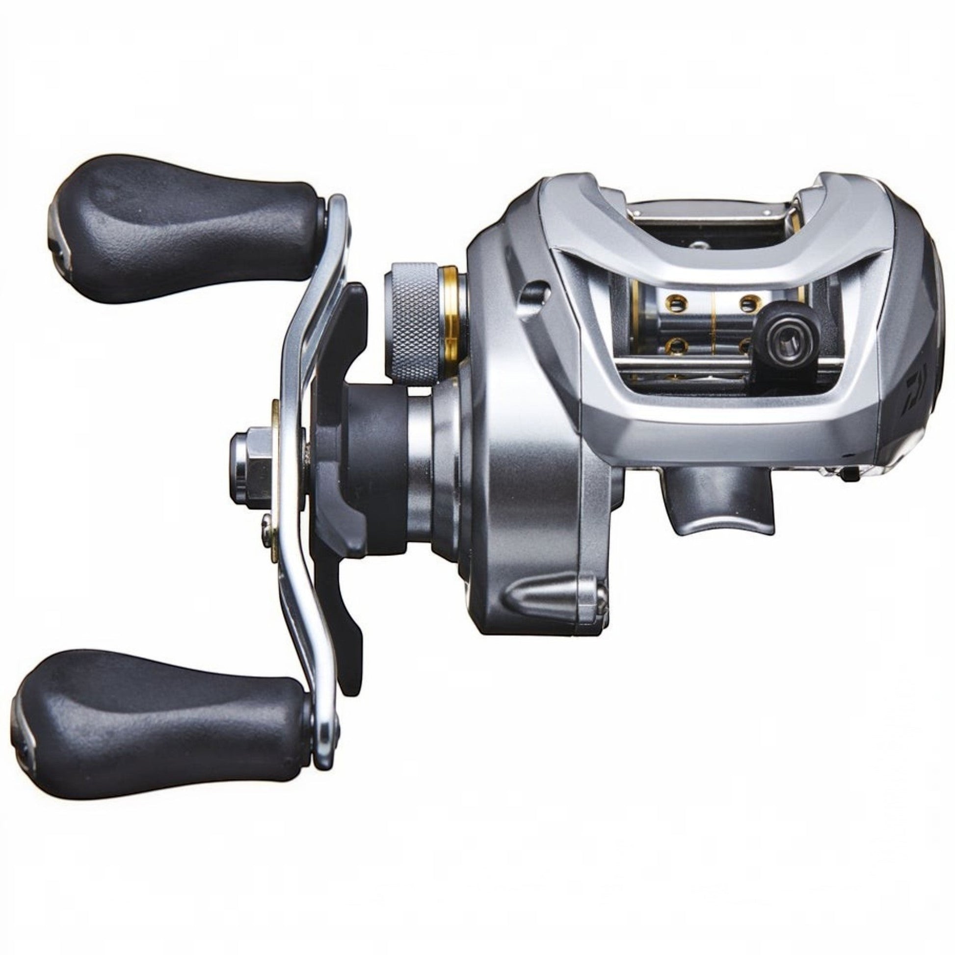 Daiwa Aird 80 Casting Reel - Dogfish Tackle & Marine