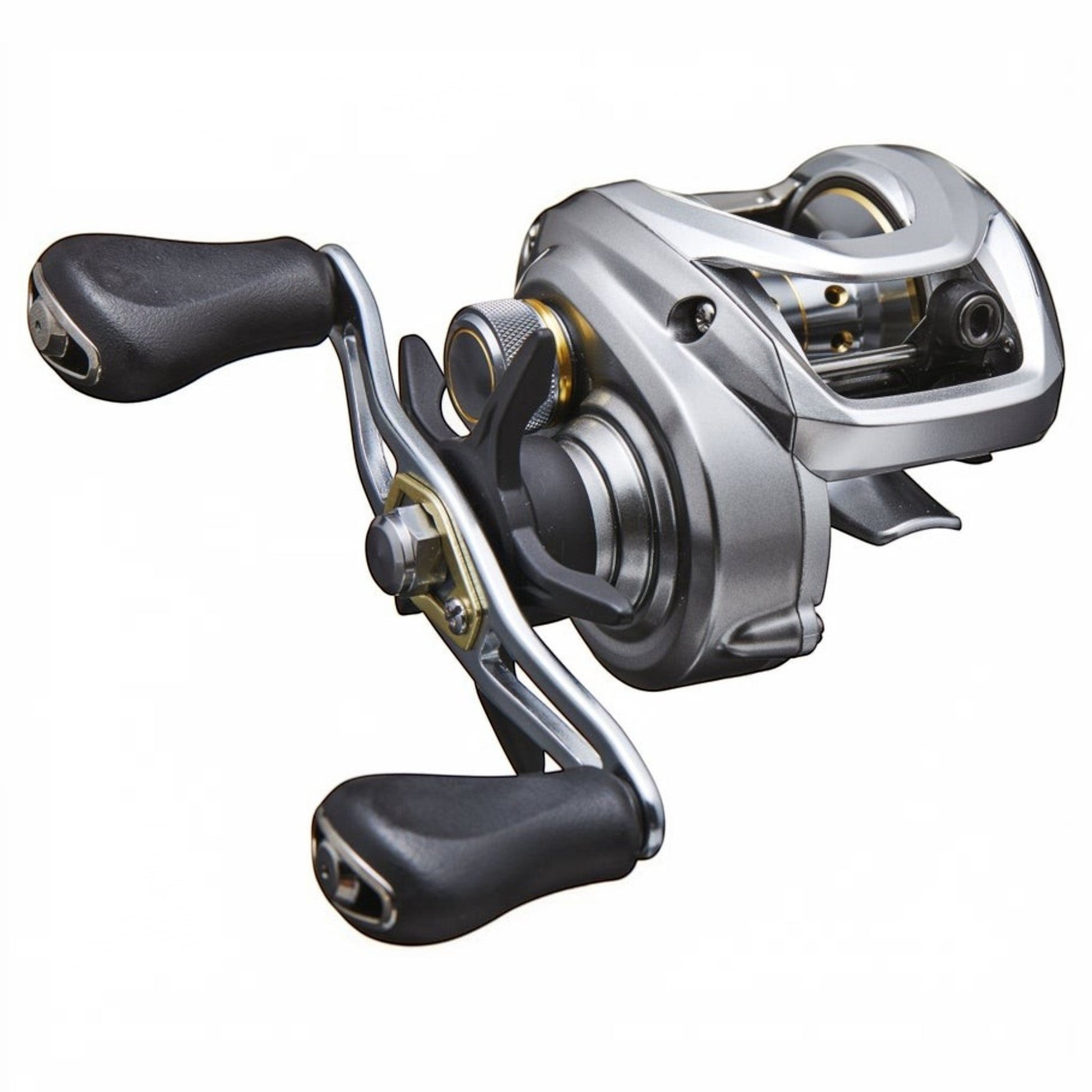Daiwa Aird 80 Casting Reel - Dogfish Tackle & Marine