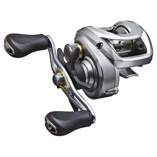 Daiwa Aird 80 Casting Reel - Dogfish Tackle & Marine