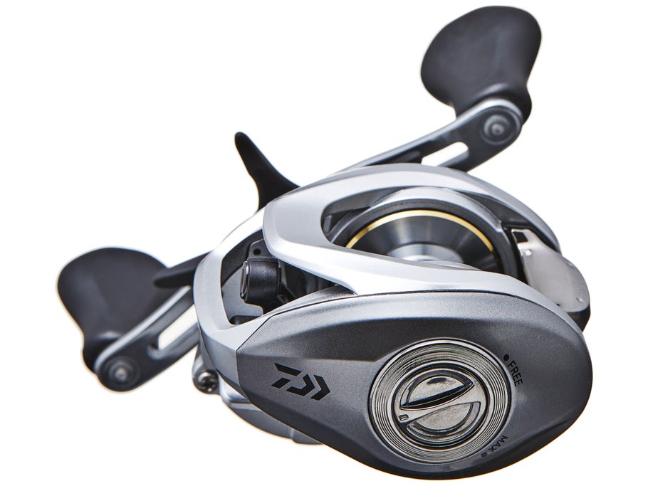 Daiwa Aird 80 Casting Reel - Dogfish Tackle & Marine