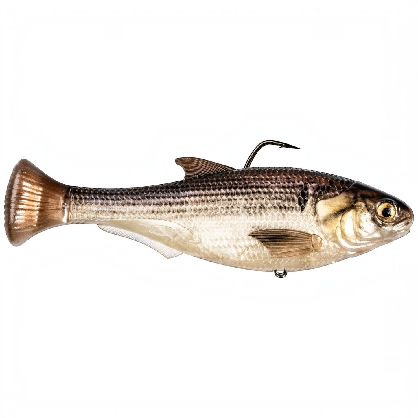 Z-Man Shadtron LT Swimbait - Dogfish Tackle & Marine