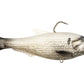 Z-Man Shadtron LT Swimbait - Dogfish Tackle & Marine