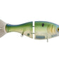 Bucca Brand Trick Shad