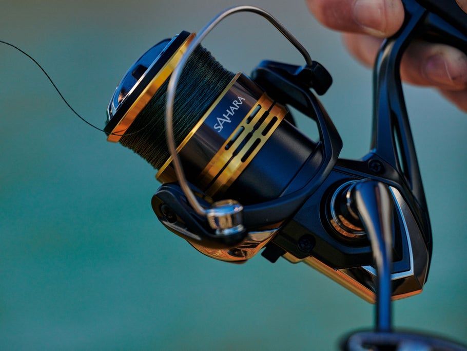 Shimano Sahara FJ Spinning Reel