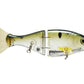 Bucca Brand Trick Shad