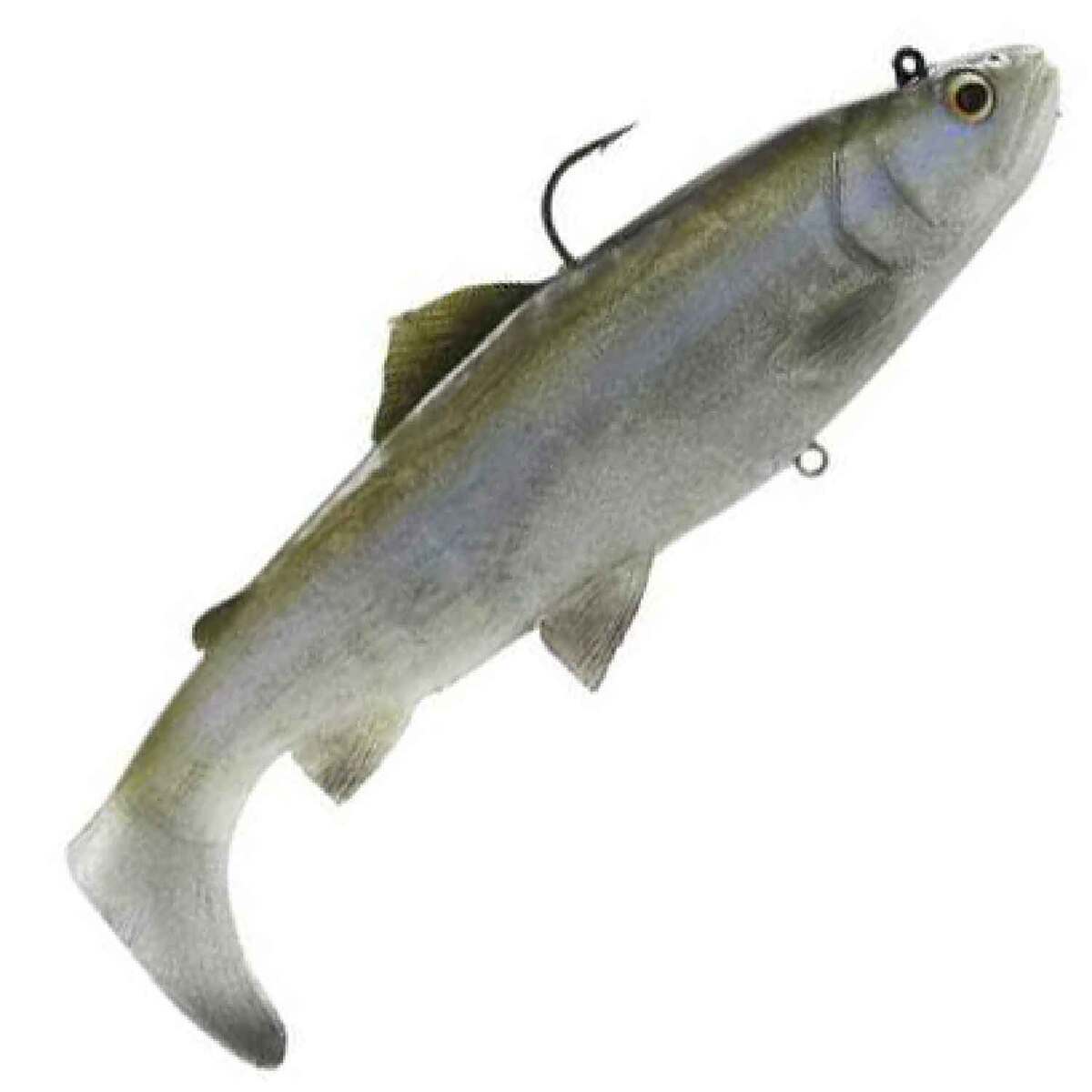 Savage Gear 3D Trout - Dogfish Tackle & Marine