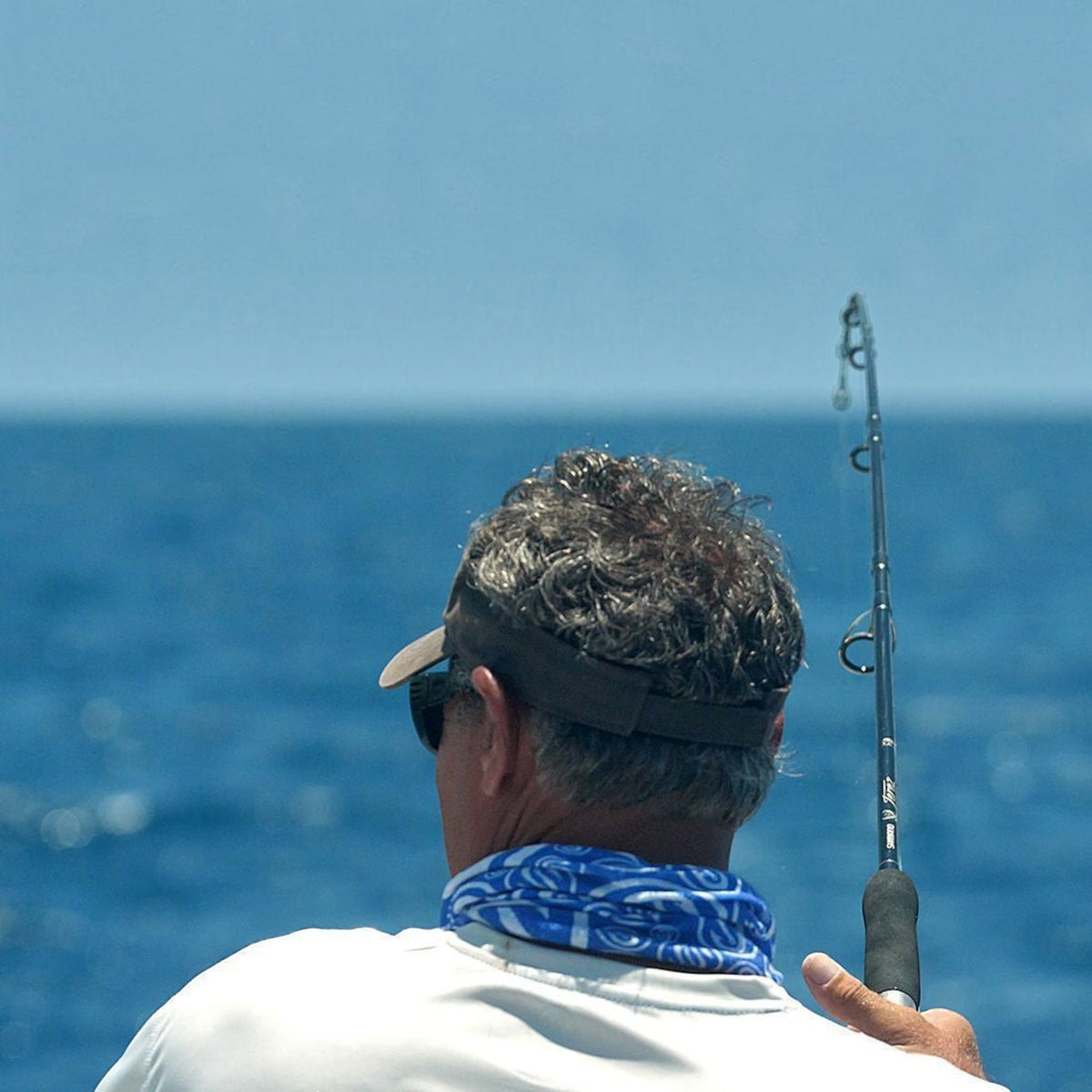 Shimano Terez Offshore Spinning Rods - Dogfish Tackle & Marine