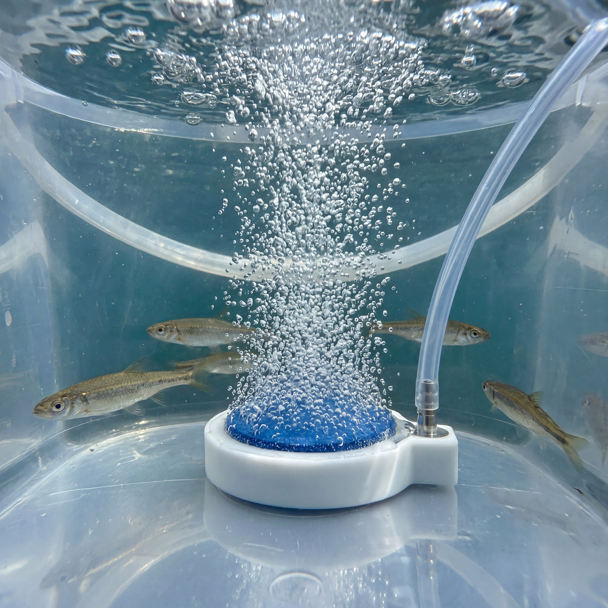 Engel 2in Live Bait Aerator Stone