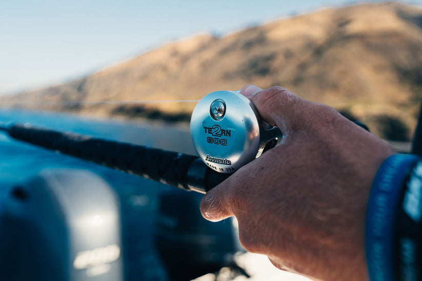 Accurate Tern 2 Conventional Star Drag