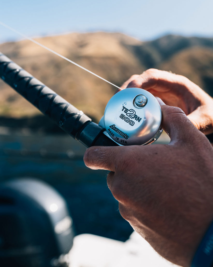 Accurate Tern 2 Conventional Star Drag