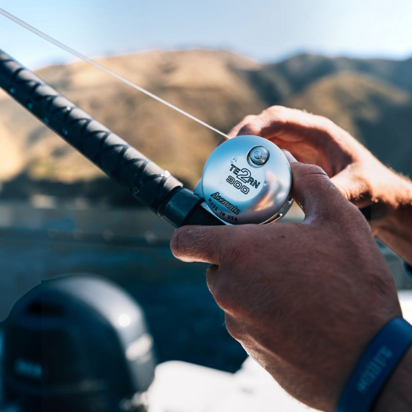 Accurate Tern 2 Conventional Star Drag - Dogfish Tackle & Marine