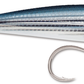 RAPALA X-RAP LONG CAST SHALLOW SXRLS12 - Dogfish Tackle & Marine