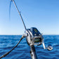 Daiwa Seaborg 500J Electric Reel - Dogfish Tackle & Marine