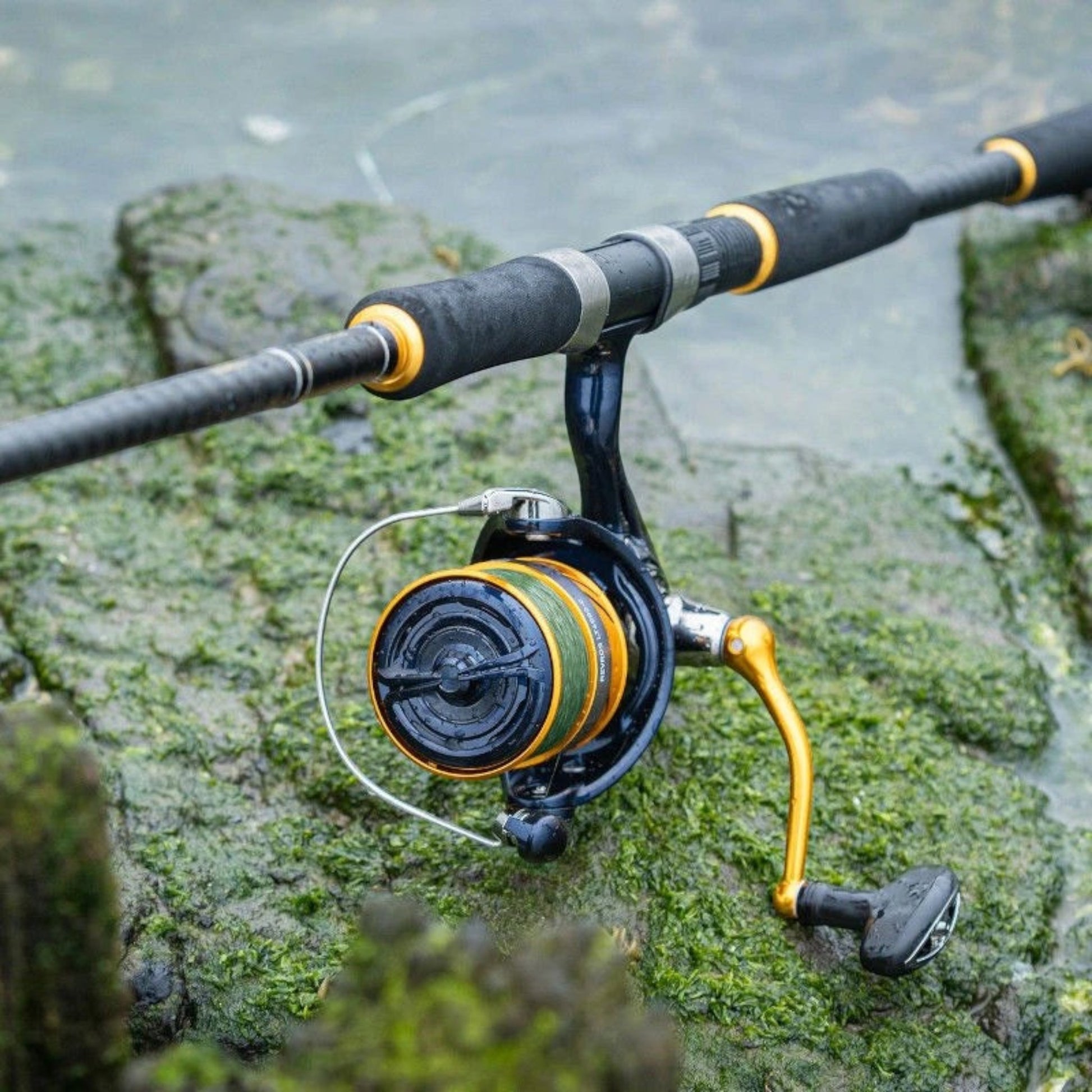 Daiwa Revros LT - Dogfish Tackle & Marine
