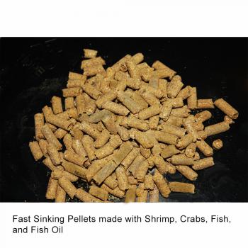 Aquatic Nutrition - Flats Magic - 2lb - Dogfish Tackle & Marine
