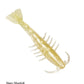 ZMAN Salty Ned ShrimpZ - Dogfish Tackle & Marine