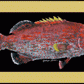RealFish Gyotaku Floor Mats - Dogfish Tackle & Marine