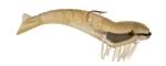 D.O.A 6” Jumbo Shrimp - Dogfish Tackle & Marine