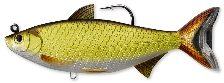 Live Target Golden Shiner Swimbait - Dogfish Tackle & Marine