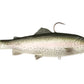 Savage Gear 3D Trout - Dogfish Tackle & Marine