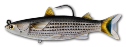 Live Target Mullet Swimbait - Dogfish Tackle & Marine