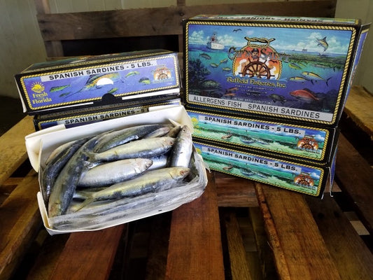 Captain Salty Frozen Sardines - Dogfish Tackle & Marine