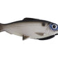 Savage Gear Pulse Tail Baitfish - Dogfish Tackle & Marine