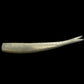NLBN 8” Straight Tail - Dogfish Tackle & Marine