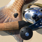 Shimano Tranx Baitcaster - Dogfish Tackle & Marine